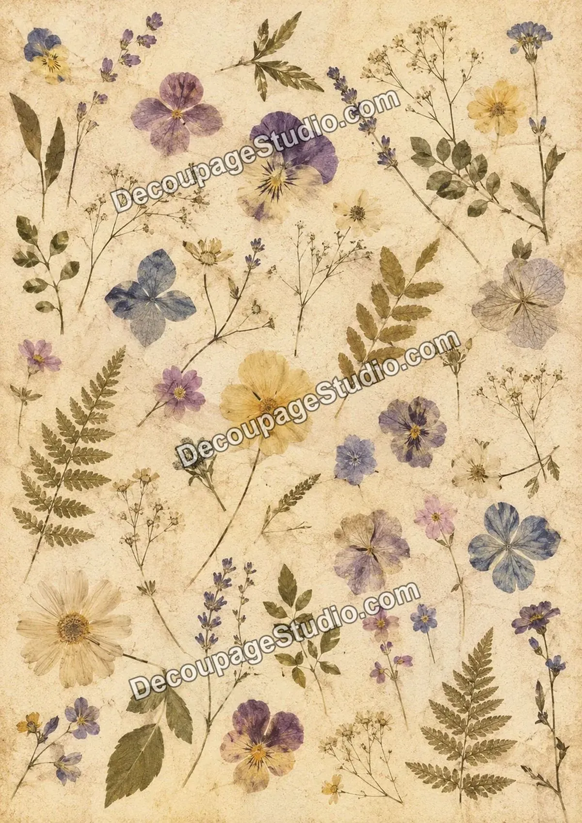 Pressed pansies, lavender, wildflowers, leaves, and ferns arranged on aged parchment
